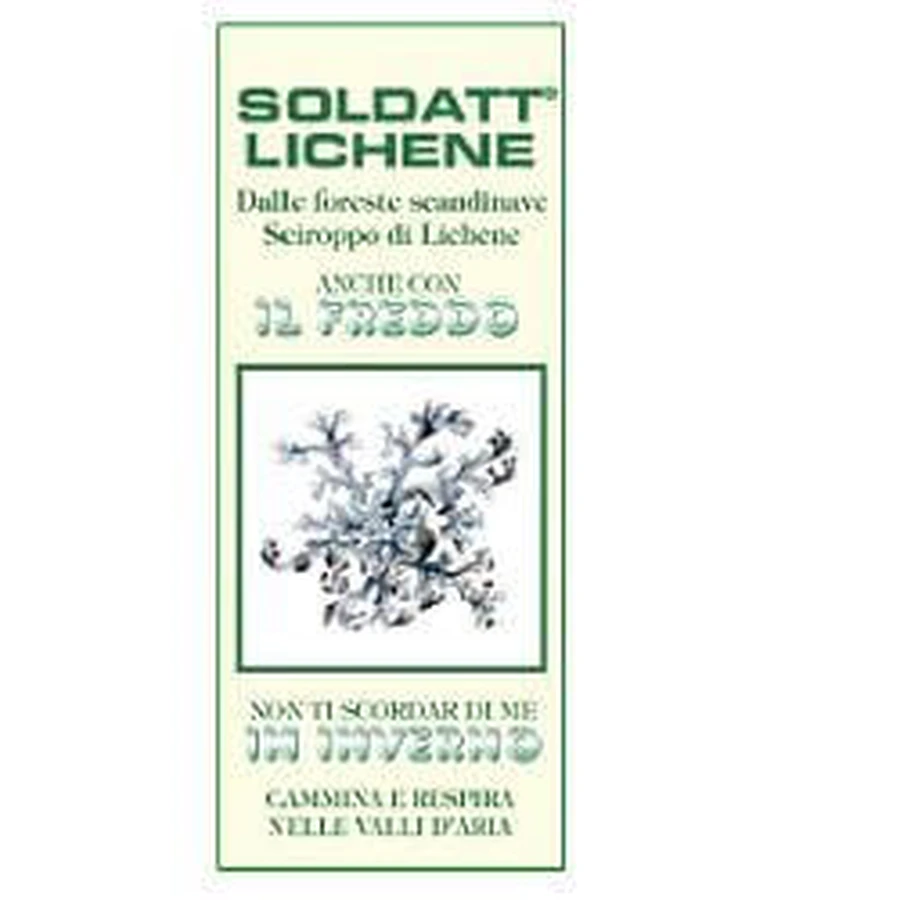 SOLDATT LIQUEN SCIR 60ML