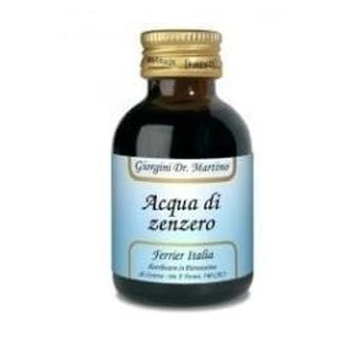 Ingwerwasser 50ml Giorgini
