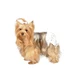 BRAGA PAÑALES L TG3 12PCS