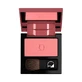 Diego dalla Palma compact cheek powder #24