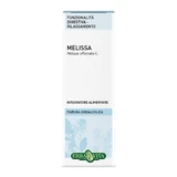 Melisse Blätter Hydroalkoholische Tinktur 50ml Erbavita