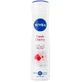 NIVEA DERMA DEO 72H A/PER CHER