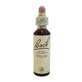 Bach Center Ess Willow 20ml