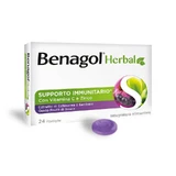 BENAGOL HERBAL FRUITS OF THE FOREST 24 - lozenges for the well-being of the throat