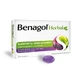 BENAGOL HERBAL FRUITS OF THE FOREST 24 - Lutschtabletten für das Wohlbefinden des Halses