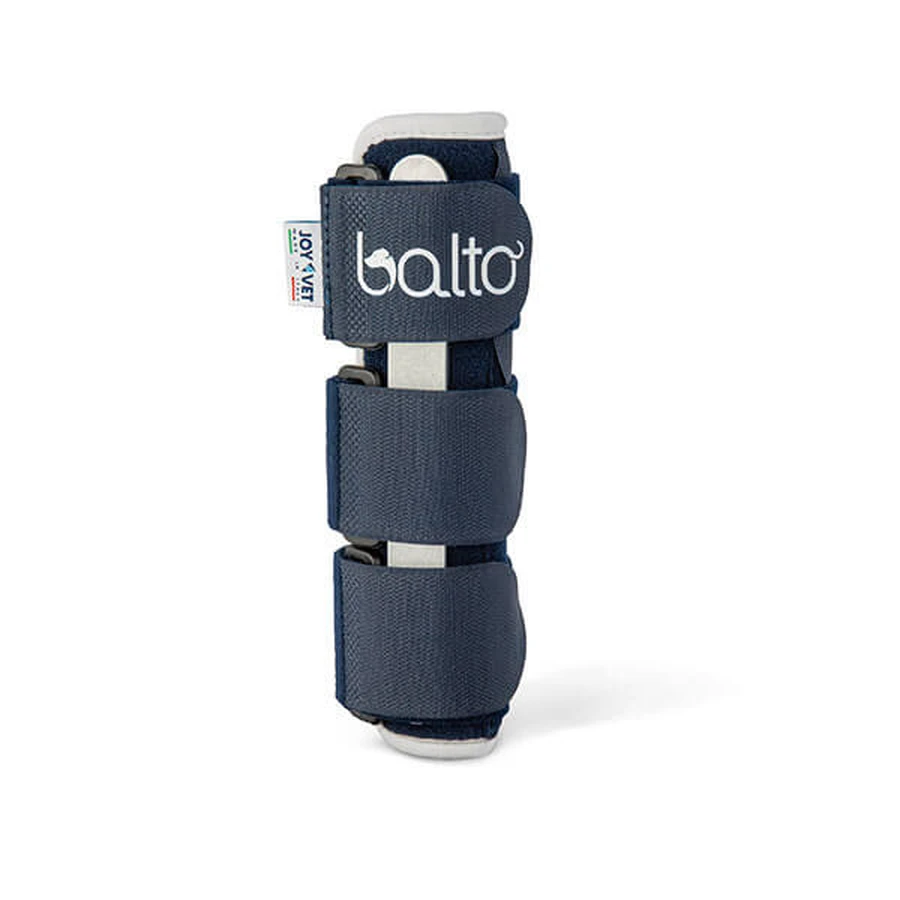 BT BONE BRACE FRATT UL/CA XXL