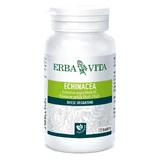 Echinacea 125tav 400mg