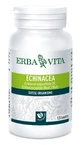 Echinacea 125tav 400mg