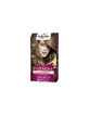INTENSIVE PALETTE 6 DARK BLONDE