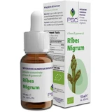 Psc Ribes Nigrum gotas 15ml - Forza Vitale