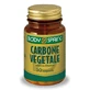 Body Spring Complemento Alimenticio Carbón Vegetal 50 Cápsulas