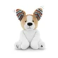Puppy Danny Kiekeboe