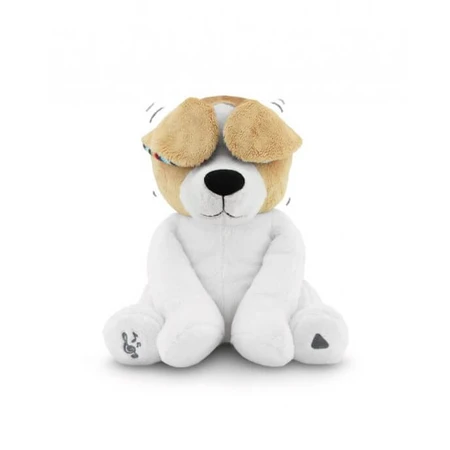 Puppy Danny Kiekeboe