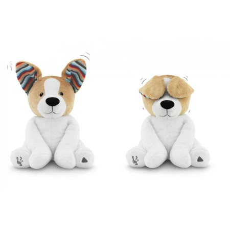 Puppy Danny Kiekeboe