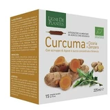 Kurkuma Zichorie Ingwer Bio 15 ml Trinkampullen