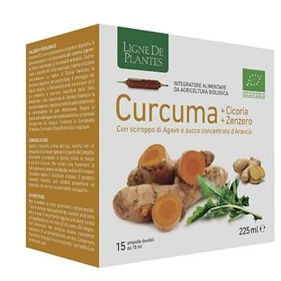 Turmeric Chicory Ginger Organic 15 Ml Drinking Ampoules