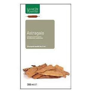 ASTRAGALUS 20FEDERN 15ML
