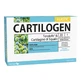 CARTILOGEN ELASTIC 20F 15ML