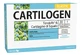 CARTILOGEN ELASTIC 20F 15ML