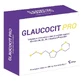 GLAUCOCIT PRO 20CPR DEELBAAR
