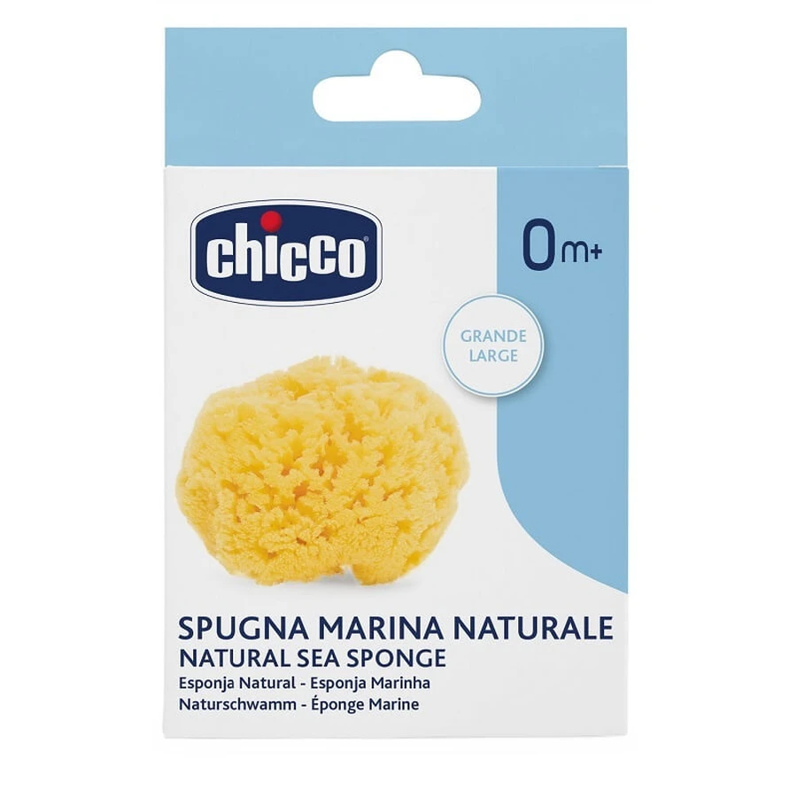 Ch Grande éponge Hygiène sûre