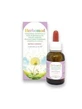 HERBOMOD 30ML