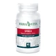 Spirea Ulmaria 60 kapsułek 400mg Erbavita