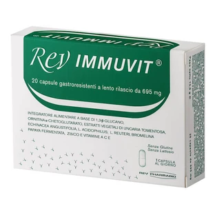 REV Immuvit 20 Tabletten