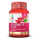 Baies de Goji 60cpr Couleurs