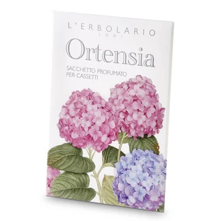 HORTENSIA PROF CASSETTETAS