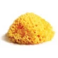 Natural Mediterranean sponge Atenei Laboratories 10