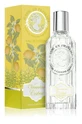 JEANNE P D VERVEINE CEDRAT EDP 60V