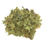 Ivy arborea cutting herbal tea from dried leaves