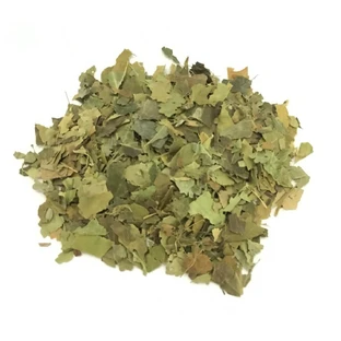 Lierre arborescent coupant tisane de feuilles séchées