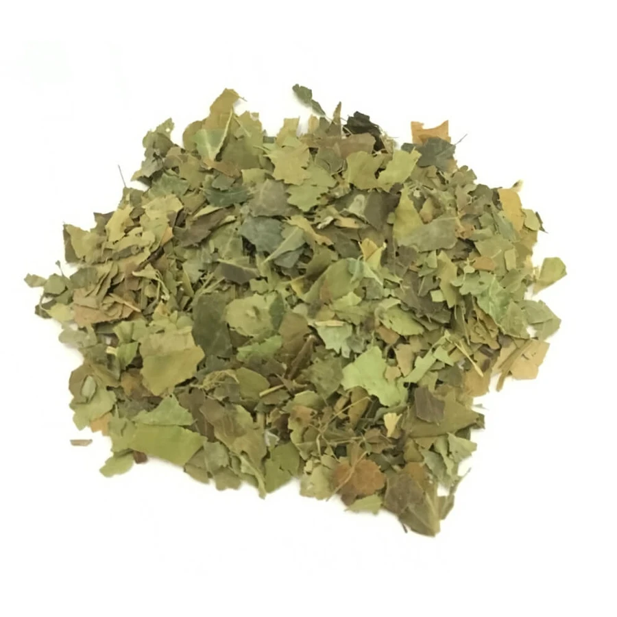 Lierre arborescent coupant tisane de feuilles séchées