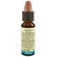 Chicory 10ml By Leo
