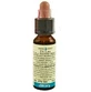 Chicory 10ml By Leo