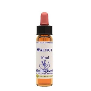 NUEZ ESS 10ML INGL HIERBAS