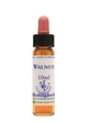 WALNUT ESS 10ML INGL HERBS