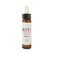Wilg Cfe voorraadfles 10ml