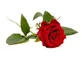 Rosa Boccioli Rossi Interi 100 Gr