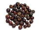 Juniper Berries (galbules) Whole Chosen 10