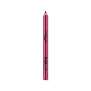 MESAUDA ARTIST LIPS 101