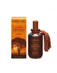 EBONY ACCORD PERFUME 50ML