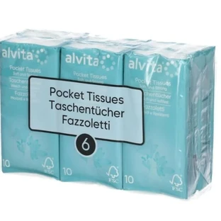 Mouchoirs en papier Alvita 4 plis doux et durables 6x10