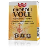 WINTER PROPOLIS ARTIKEL 30CPR MAST