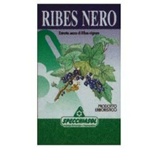 Blackcurrant Leaves 75 Capsules