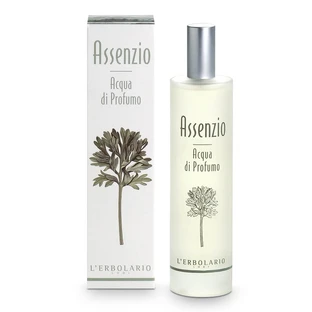 ABSINT GEURWATER 100ML