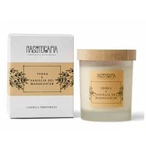 Tonka and Madagascar Vanilla Candle