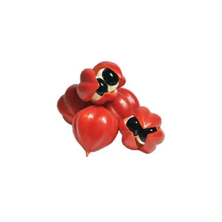 Guarana in 100 g gerösteten Samen